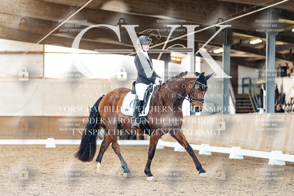 CK909282 | Turnierfotografie Pferdefotografie Trier Rheinland-Pfalz Pferdesport Reitsport Tierfotografie Sportfotografie Pferdevideo Pferdevideografie Equestrianvideography equestrianphotography  - Realisiert mit Pictrs.com