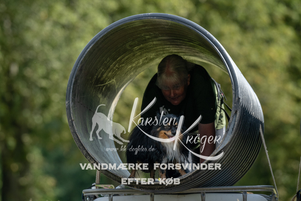 1028_ZZ92172 | kk-dogfotos