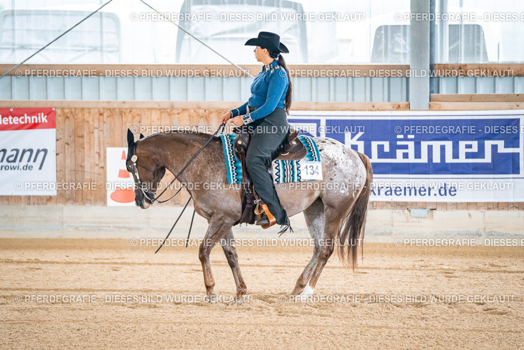 DSC01231 | Pferdegrafie