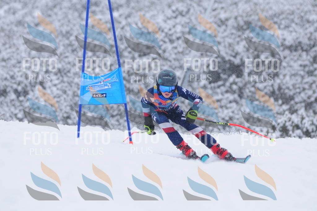 C4125 | holidayphoto