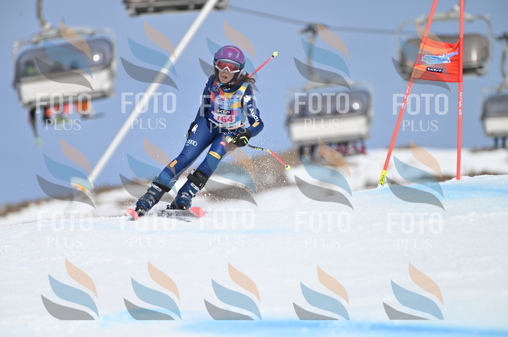 BGV_0328 | holidayphoto