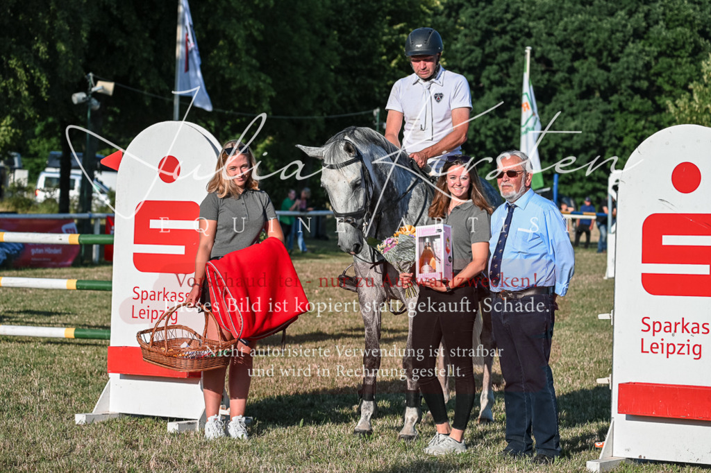 DSC_3177 | Pferde- und Turnierfotografie in Westsachsen. Pferdeportraits, Auftragszeichnungen und intuitive Kunst.