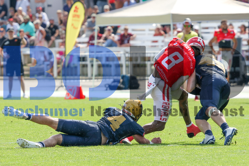 GFL: Potsdam Royals vs. Dresden Monarchs{date} -  | {headline}(Foto: Thomas Sobotzki / BOND) - Realisiert mit Pictrs.com