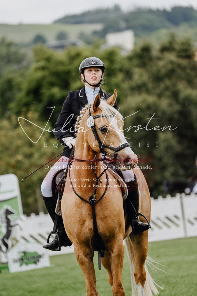 DSC_6879 | Pferde- und Turnierfotografie in Westsachsen. Pferdeportraits, Auftragszeichnungen und intuitive Kunst.