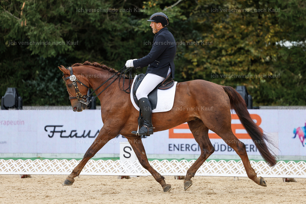 3-239-Dressur M_-StoibPH-2427 | working equitationturnier fotograf videograf stoibphotography marixx film working equitation deutschland reitsport turnierfotografie eventfotografie equestrian events