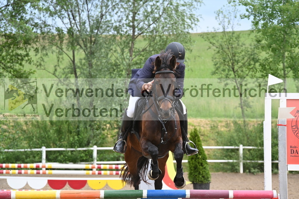 DSC_8016 | equestrian-live-com