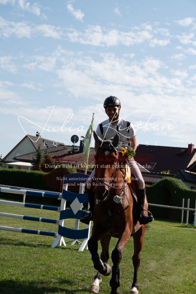 DSC_1035 | Pferde- und Turnierfotografie in Westsachsen. Pferdeportraits, Auftragszeichnungen und intuitive Kunst.
