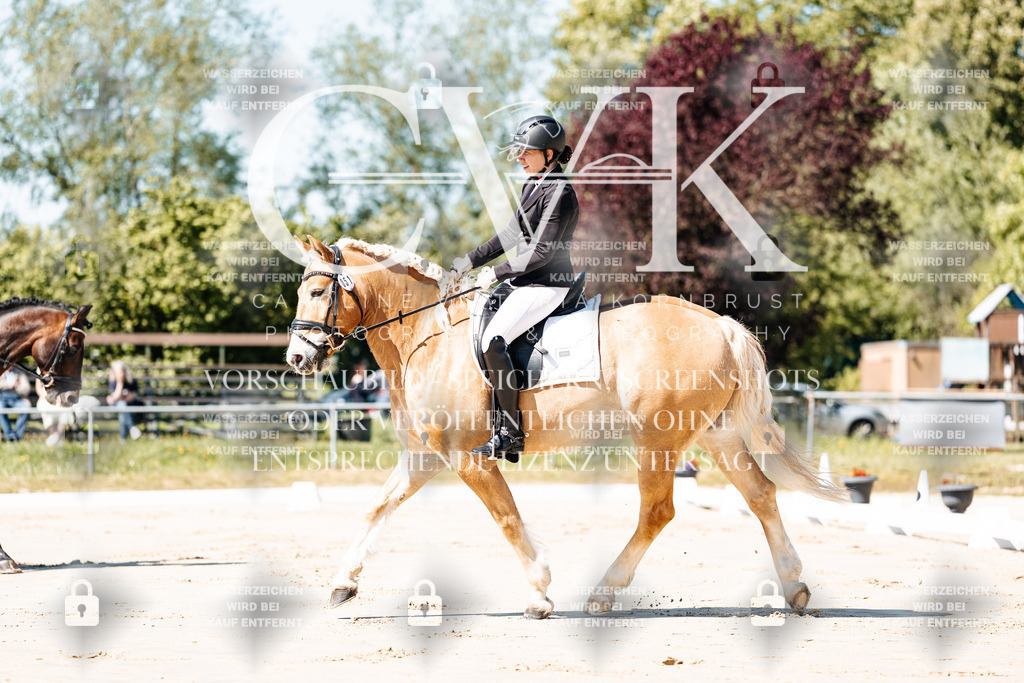 CK904938 | Turnierfotografie Pferdefotografie Trier Rheinland-Pfalz Pferdesport Reitsport Tierfotografie Sportfotografie Pferdevideo Pferdevideografie Equestrianvideography equestrianphotography  - Realisiert mit Pictrs.com