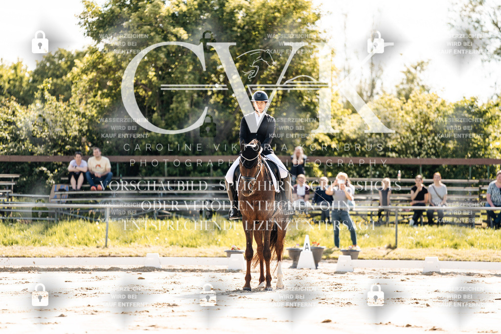 CK909115 | Turnierfotografie Pferdefotografie Trier Rheinland-Pfalz Pferdesport Reitsport Tierfotografie Sportfotografie Pferdevideo Pferdevideografie Equestrianvideography equestrianphotography  - Realisiert mit Pictrs.com