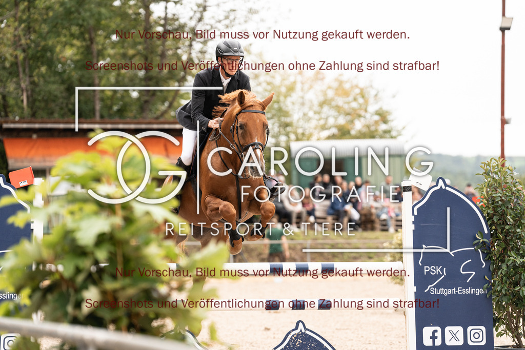 DSC04177 | Turnierfotografin Carolin Gieschke, Turnierfotografie Carolin G Fotografie, Turnierfotos Kirchheim/Teck, Esslingen, Stuttgart, Bodenseekreis
