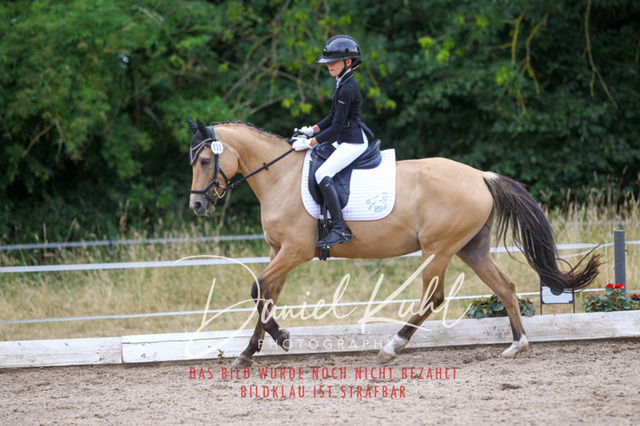 DKP46836 | Turniersportfotografie; Pferdefotografie; Dressurfotografie