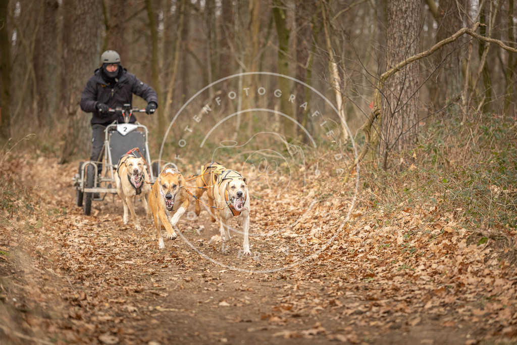 Pfotenfotografie_DV3A8658 | Hundefotografie, Tierfotograf, Pfotenfotografie, Fotoshooting Hund, Hunde Portrait, Hundesport, Hundeportraits, Heideshooting, Hunde, Sportfotograf, Hundefotograf, Turnierhundsport, THS,  - Realisiert mit Pictrs.com