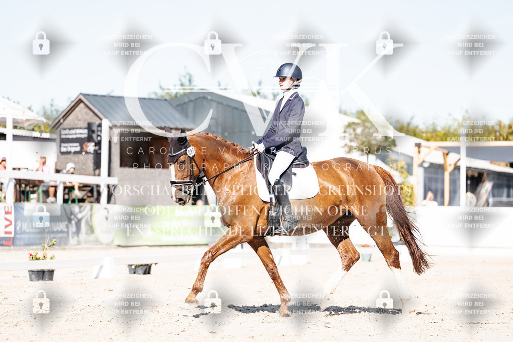 CK908398 | Turnierfotografie Pferdefotografie Trier Rheinland-Pfalz Pferdesport Reitsport Tierfotografie Sportfotografie Pferdevideo Pferdevideografie Equestrianvideography equestrianphotography  - Realisiert mit Pictrs.com