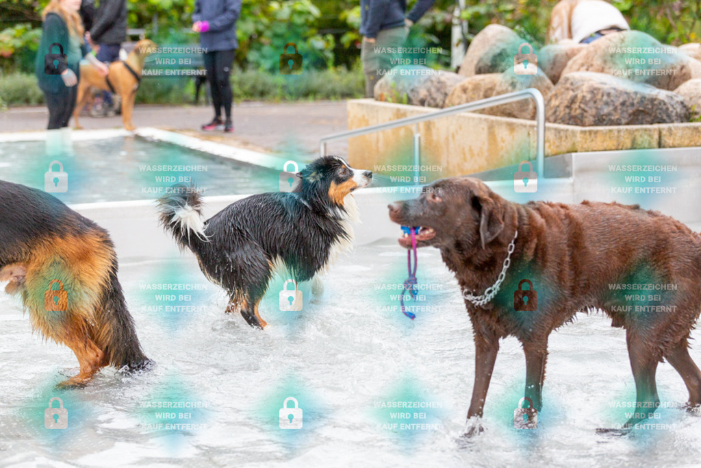 _HP_7385_1000o | HetPix, HetPix Fotodesign, Fotografie, Fotodesign, Webshop, Sportfotografie, Portraitfotografie, Onlineshop, Sportfotografie, Polch, Motorsportfotografie, Eventfotografie