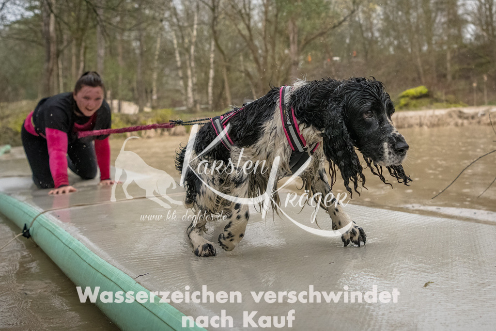 1056_ZZ93774-Bearbeitet | kk-dogfotos