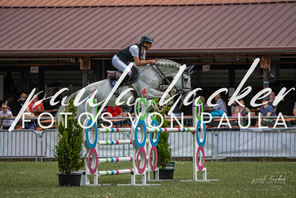 IMG_7220 | Erleben Sie dynamische Sport- und emotionale Tierfotografie in Süddeutschland mit Fotos von Paula. Spezialisiert auf Pferde- und Hundefotografie sowie Sportevents. Kontaktieren Sie mich für einzigartige und ausdrucksstarke Bilder Ihrer besonderen Momente. - Realisiert mit Pictrs.com