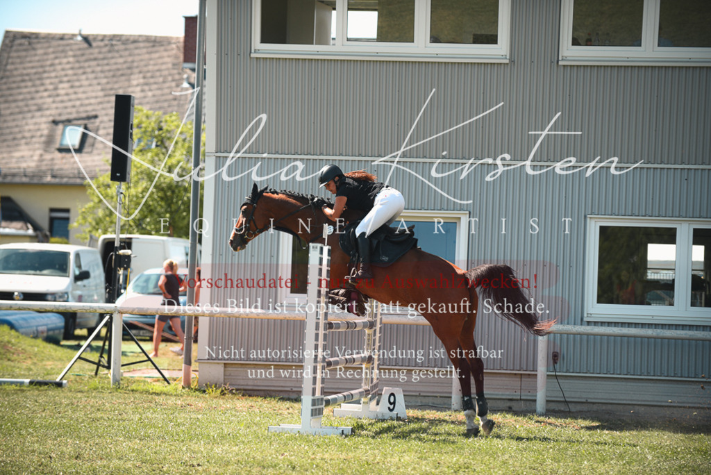 DSC_7107 | Pferde- und Turnierfotografie in Westsachsen. Pferdeportraits, Auftragszeichnungen und intuitive Kunst.