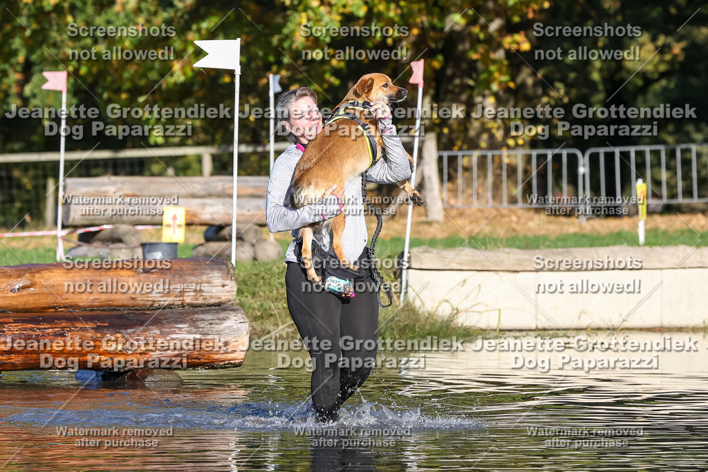 Dog Paparazzi - Strongdog 10-25-8750 | Dog Paparazzi Jeanette Grottendiek Fotografie & Videografie - Realisiert mit Pictrs.com