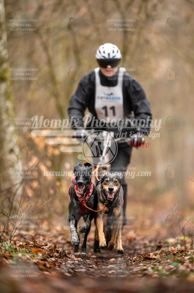 Reiat2023_SON_DS2_8km_2H-12 | PayLife