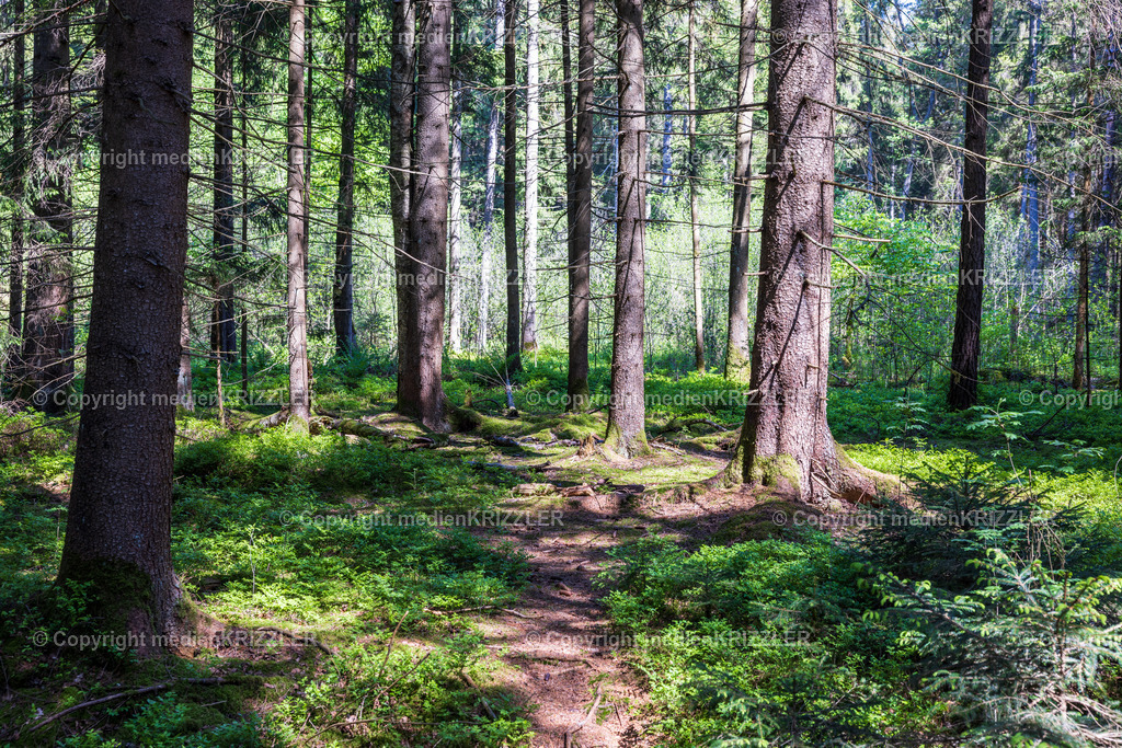 _J3A7766 | medienkrizzler - Realisiert mit Pictrs.com