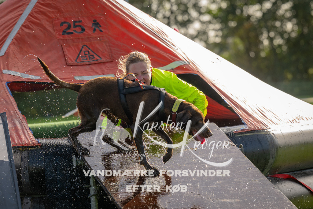 1116-91985 | kk-dogfotos