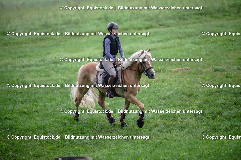 20250726_Vielseitigkeitslehrgang-Marbach_0077 | Foto: Thomas Hartig