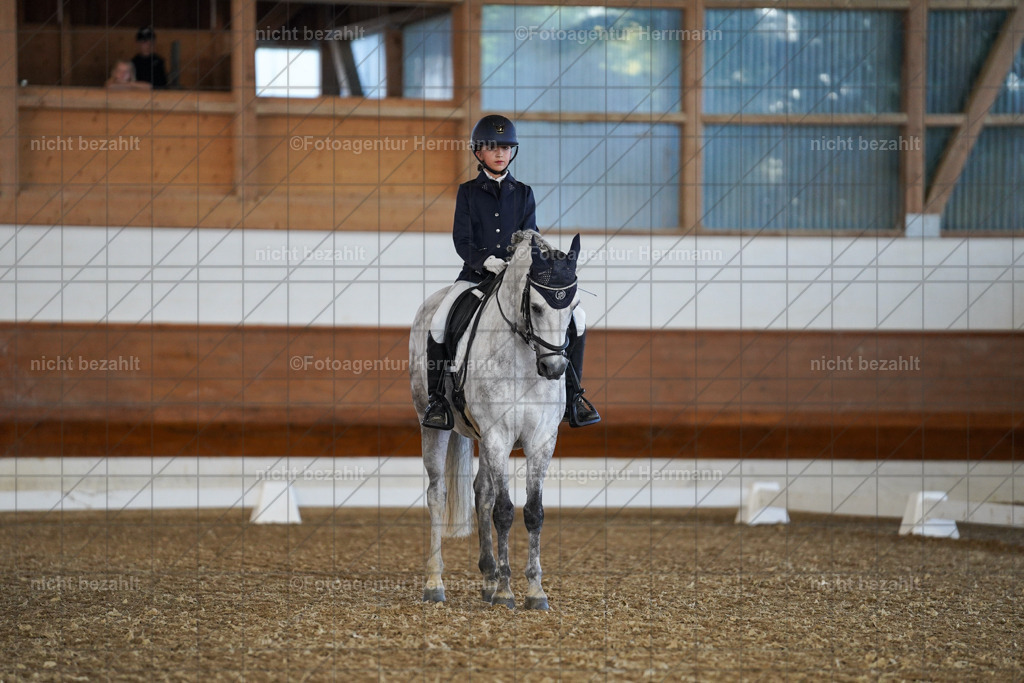 20240824-FAH06989 | Thierhaupten 2024, Bayerisches Landesponyturnier, Turnierbilder, Ponybilder, Turnierfotografen Bayern, Fotoagentur Herrmann