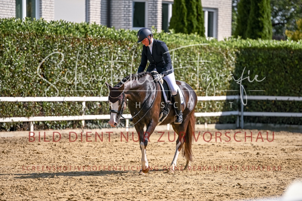 Schugtsche-Aluta25-52.Dressurprf.M2Kand-391 | Schugtsche Fotografie - Realisiert mit Pictrs.com