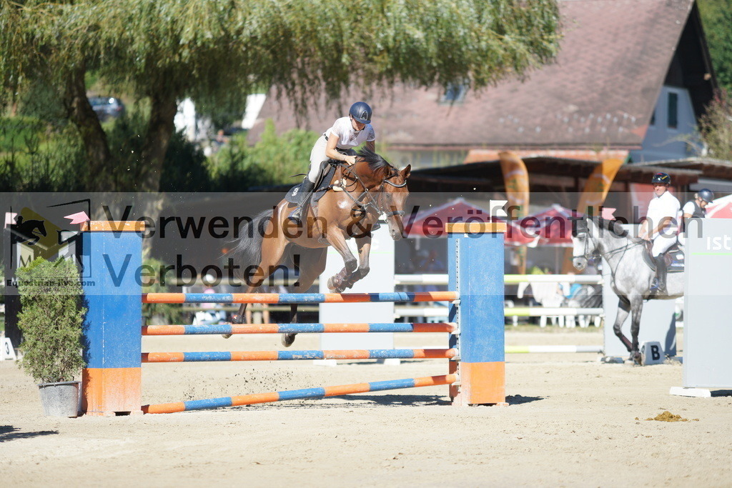 DSC09053 | equestrian-live-com
