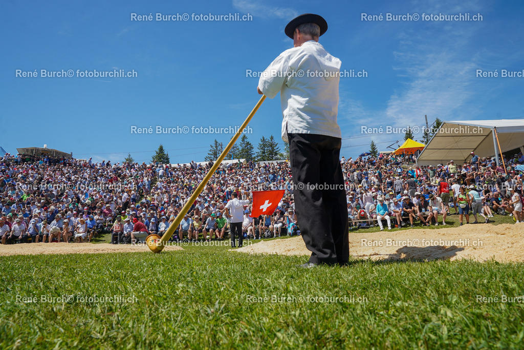 DSC00673 | René Burch leidenschaftlicher Fotograf aus Kerns in Obwalden.  Hier finden sie Sport, Landschaft und Natur Fotografie.
 - Realisiert mit Pictrs.com
