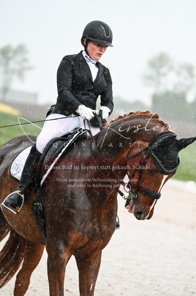 DSC_4096 | Pferde- und Turnierfotografie in Westsachsen. Pferdeportraits, Auftragszeichnungen und intuitive Kunst.