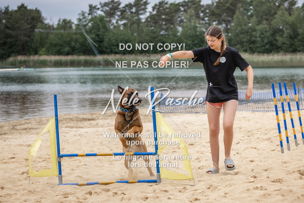 nelerasche_BuHu2026_So1330-1430_13 | nelerasche