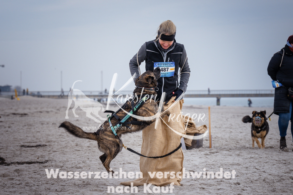 1205_ZZ91965 | kk-dogfotos