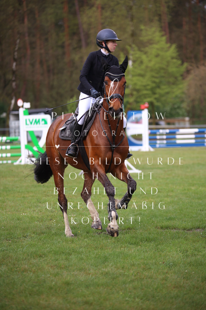 IMGT2373 | pl-fotografie