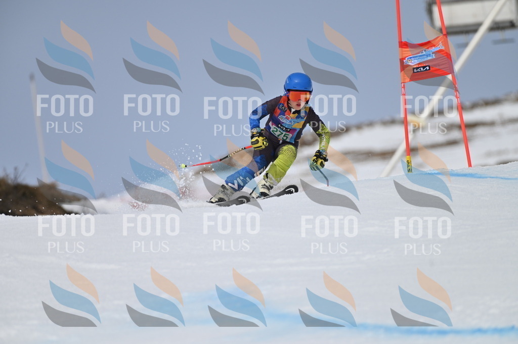 BGV_5444 | holidayphoto