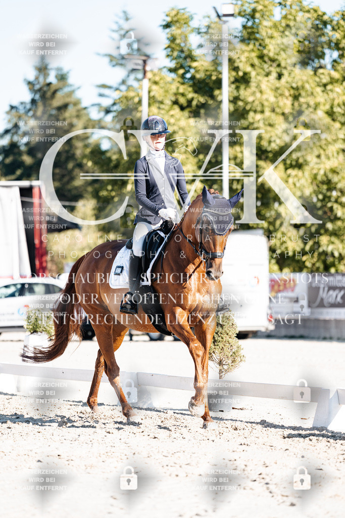 CK907377 | Turnierfotografie Pferdefotografie Trier Rheinland-Pfalz Pferdesport Reitsport Tierfotografie Sportfotografie Pferdevideo Pferdevideografie Equestrianvideography equestrianphotography  - Realisiert mit Pictrs.com