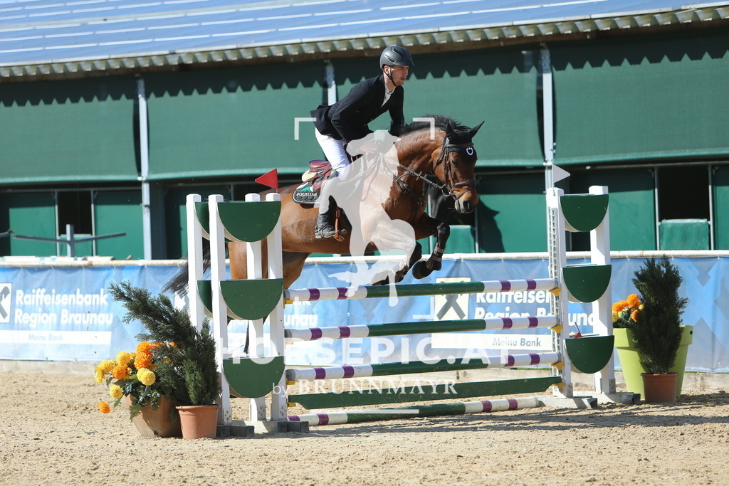 DL2Q1011 | Willkommen bei Brunnmayr - Design & Fotografie – Ihrem Spezialisten für Reitturniere und Pferdeveranstaltungen in Oberösterreich, Salzburg und Bayern! Seit über 17 Jahren sind wir leidenschaftlich dabei.