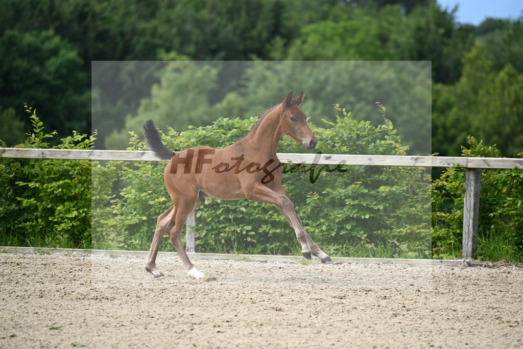 Va Bene x Fahrenheit_HF_Bosch_19240077 | hf-fotografie - Realisiert mit Pictrs.com