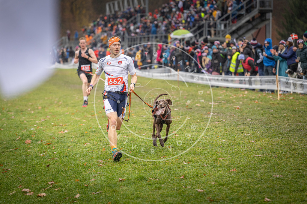 CaniXpix_DV3A9875 | Hundefotografie, Tierfotograf, Pfotenfotografie, Fotoshooting Hund, Hunde Portrait, Hundesport, Hundeportraits, Heideshooting, Hunde, Sportfotograf, Hundefotograf, Turnierhundsport, THS,  - Realisiert mit Pictrs.com