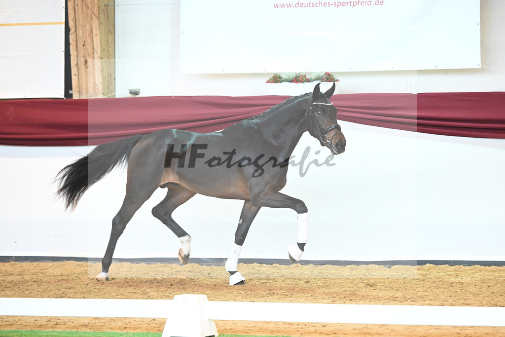 Kat-Nr. 76 v. Zackerey_Pfitzer_66221969 | hf-fotografie - Realisiert mit Pictrs.com