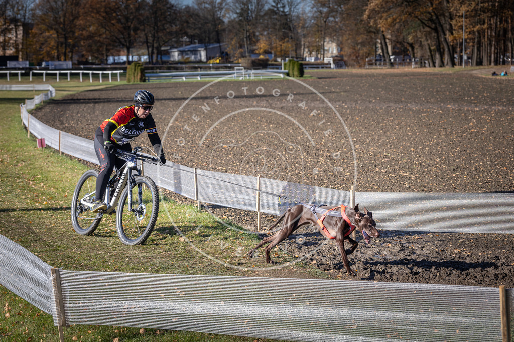CaniXpix_DV3A6849 | Hundefotografie, Tierfotograf, Pfotenfotografie, Fotoshooting Hund, Hunde Portrait, Hundesport, Hundeportraits, Heideshooting, Hunde, Sportfotograf, Hundefotograf, Turnierhundsport, THS,  - Realisiert mit Pictrs.com