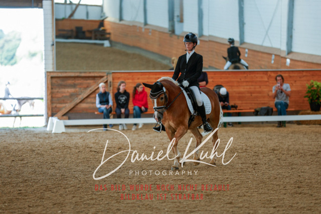 _62_7884 | Turniersportfotografie; Pferdefotografie; Dressurfotografie