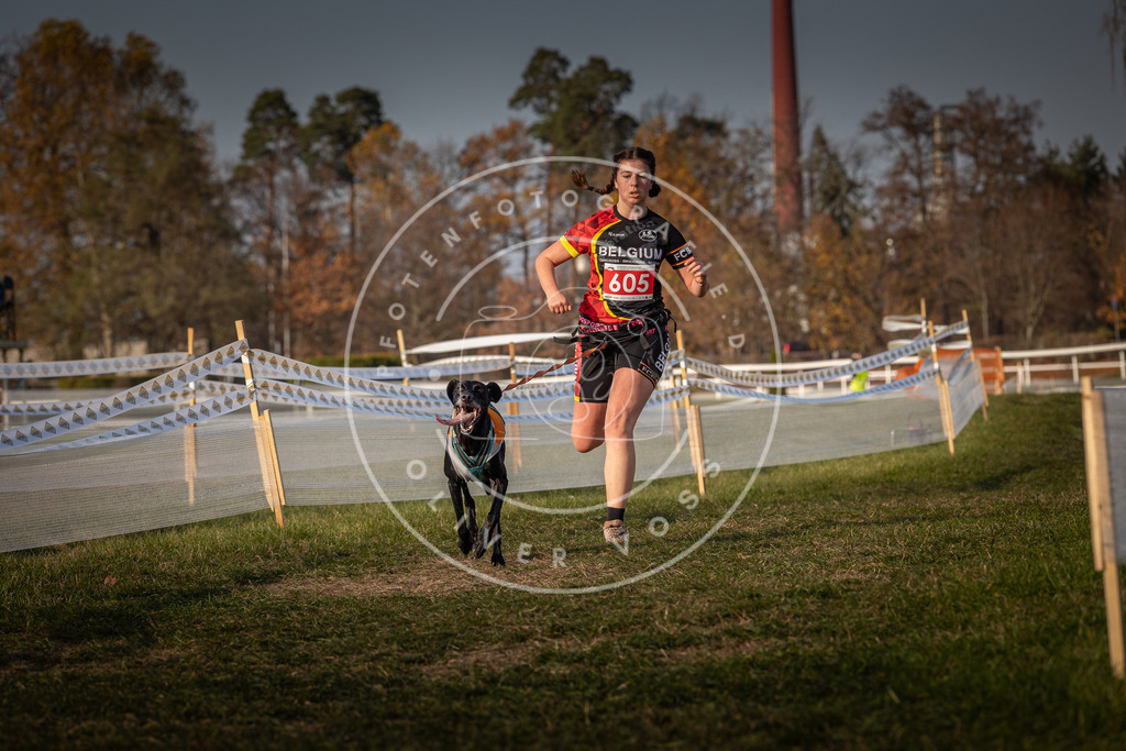 CaniXpix_0L8A0131 | Hundefotografie, Tierfotograf, Pfotenfotografie, Fotoshooting Hund, Hunde Portrait, Hundesport, Hundeportraits, Heideshooting, Hunde, Sportfotograf, Hundefotograf, Turnierhundsport, THS,  - Realisiert mit Pictrs.com