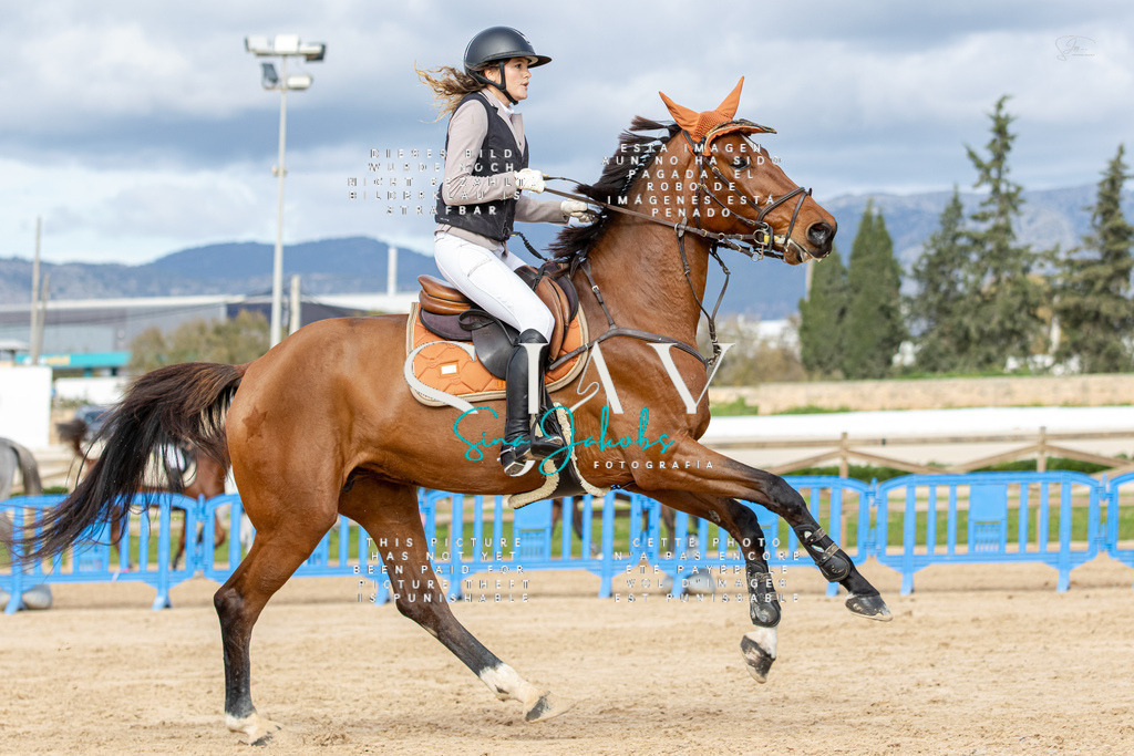 IMG_3143 | s-jay-photography - Realisiert mit Pictrs.com