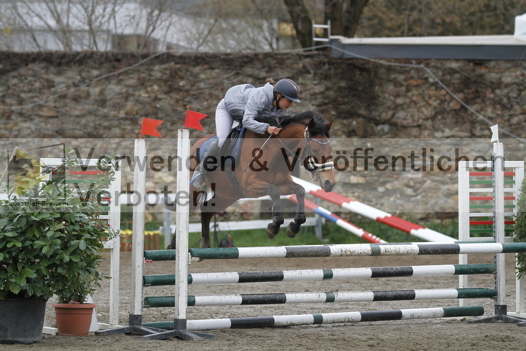_MG_3560 | equestrian-live-com