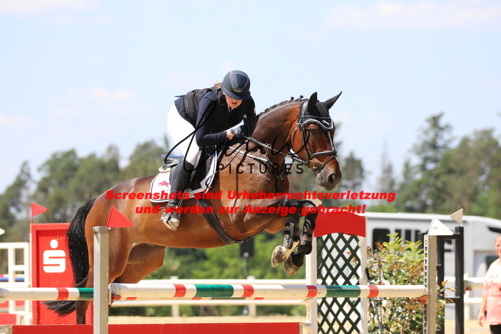 IMG_2352 | lmwpictures - Realisiert mit Pictrs.com