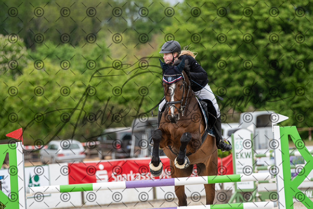 KPT_0270 | andre_photographic