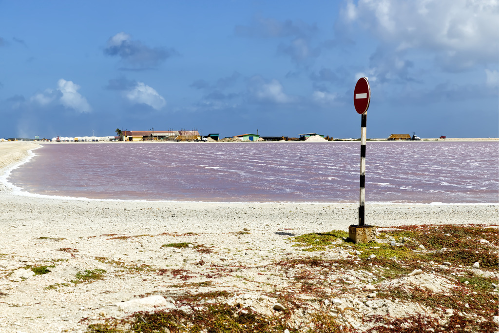 1H5A0124 | ansichtssache