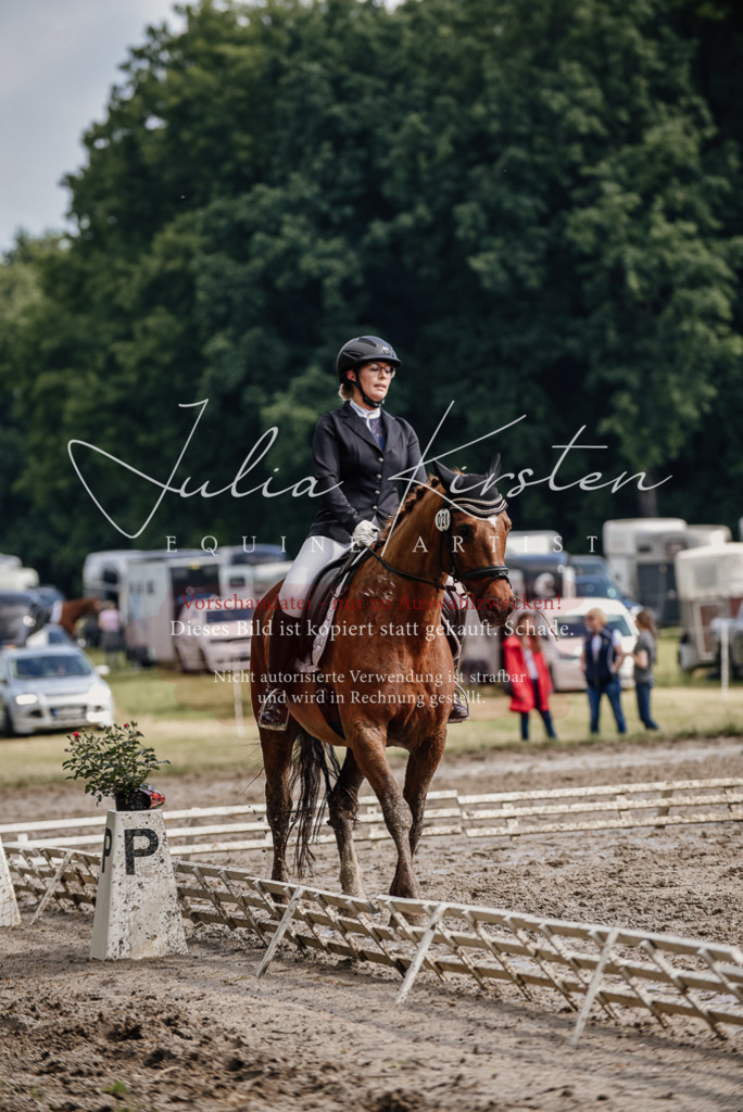 DSC_8954 | Pferde- und Turnierfotografie in Westsachsen. Pferdeportraits, Auftragszeichnungen und intuitive Kunst.