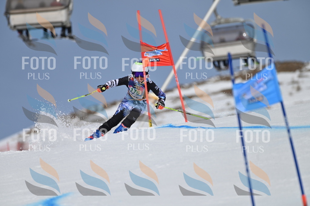 BGV_3441 | holidayphoto